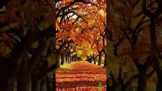 Gentle, Reducing Stress, Fatigue  #relax #relaxing
