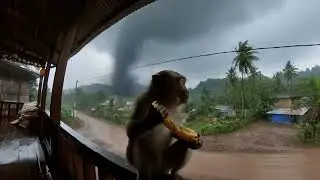 Monkey Caught Flying in the Storm&rdquo;#Monkey #StormMoment #Wildlife #NaturePower