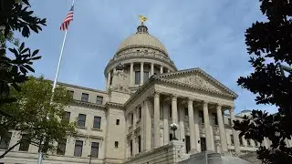 MS House Floor - 29 January, 2026; 2:00 PM