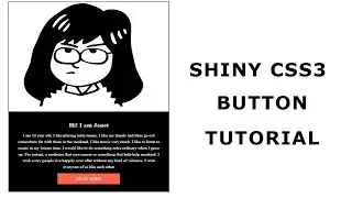 Shiny CSS3 Animated Button | CSS3 Animation Snippets
