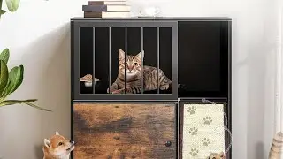 Dog-Proof Feeding! 🐕&zwj;🦺 Cat Feeding Station with Scratch Board