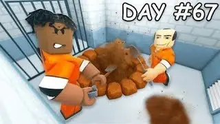 Dig to escape with my two sisters