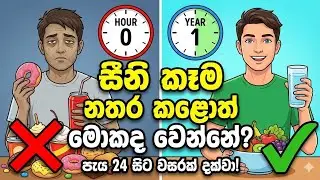 ​සීනි කෑම සම්පූර්ණයෙන්ම නැවැත්තුවොත් ඔබේ ඇඟට මොකද වෙන්නේ? | What Happens If You Stop Eating Sugar?