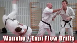 Practical Kata Bunkai: Wanshu / Enpi Flow Drills