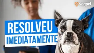 DERMATITE ATÓPICA | Essa Ração Resolveu