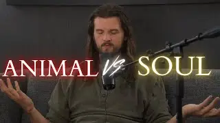 Животное эго против души | Один из важнейших уроков пробуждения | UTG #47