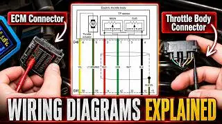 Suzuki Wiring Diagram Breakdown | Locate Pins, Trace Wires & Fix Electrical Issues Fast