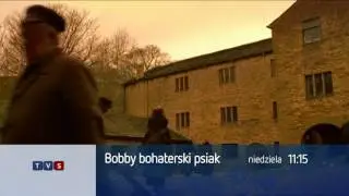 Bobby bohaterski psiak - Telewizja TVS