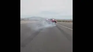 Murcielago