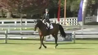 LA Preview - Stallion P.S. I Love You & Kelly Van Vleck