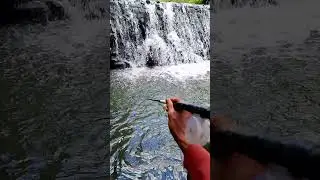 cara nutul ikan nilem diarus deras sangat mudah!! #shortsviral #fishing #mancingmantap #mancing