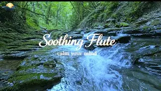Peaceful Flute Music for Deep Meditation, Relaxation & Inner Calm