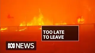 Homes destroyed as bushfire emergency ravages NSW and Queensland | ABC News