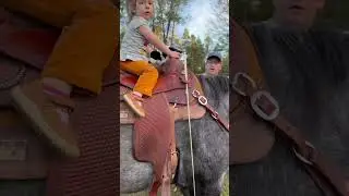 Is natural horsemanship effective or not? #horse #equestrian #equine