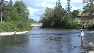 P&ecirc;che au Saumon - Les Fourches -  crois&eacute;e des rivi&egrave;res Matap&eacute;dia et Causapscal