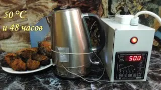 🍄 Гриб ЧАГА. 📜 Классический рецепт водного настоя +50 ℃ и 48 часов. (Лат. Inonotus obliquus).