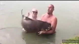 CRAZY FISH FAILS - COMPILATION #1