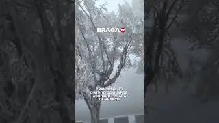 Braga est&aacute; Branca de neve! #brasil #portuga #noticias #viralvideo  ❄️⛄☃️
