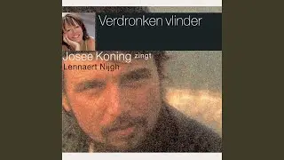 Het Spaarne