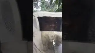 se escrevam  no meu canal!! devemos proteger as abelhas, porque sem ela n&atilde;o tem mel