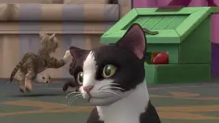 The Sims 4 Cats & Dogs: Cat and Raccoon Trailer