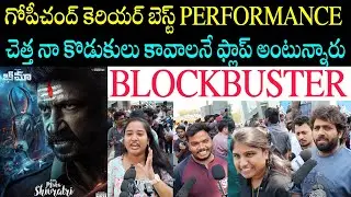 Bheema movie imax theatre Genuine public talk | bheema reviews |l Mr venkat