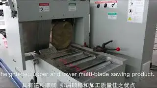 MJ263G multi blade rip saw wood working machine