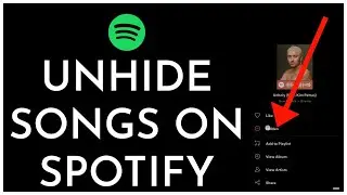 How To Unhide Songs On Spotify (2023)
