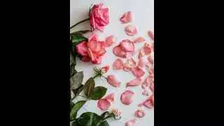 YTC Ferg - Don't Let Me Love You (Prod. BKH)