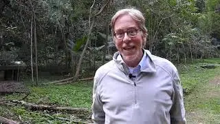 Ave & dinossauro: a evolu&ccedil;&atilde;o do grupo - com Richard Prum