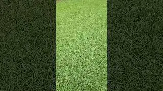 Grounding &hearts;️ Energy Protection -  during electro-magnetic storms - new info &hearts;️ August 2025