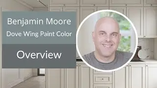 Benjamin Moore Dove Wing Paint Color Overview