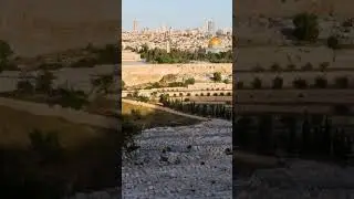 The Mount of Olives, check out the full video for a better look #bible #mountofolives #jerusalem