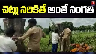చెట్లు నరికితే అంతే సంగతి  | Rs 4Lakh Fine on Realtor for Cutting 65 Trees | T News