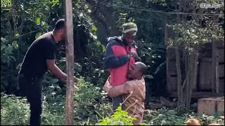 Do you think he’s good at what he does 