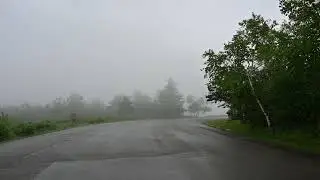 Big Pocono State Park before the thunderstorm on 6/1/22