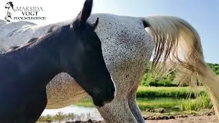 Energie des Seins