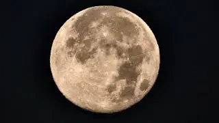 Beaver Full Moon II Over the Rockies on November 16, 2024