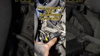 Какое масло заливать в КПП и ГИДРОПРИВОД Peugeot/ Citroen