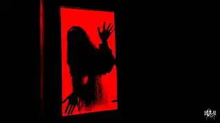 NOSEDA  |  Let's Go Dark