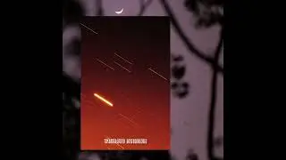Dan Piu - Flying Dolphins [SPBA002]