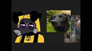 looneygoons characters but in real life
