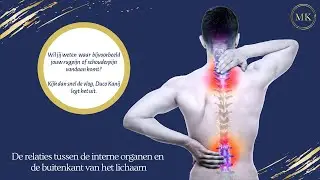 Pijn aan de buitenkant komt vanuit je organen