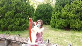 Practise in the park gone wrong! Welsh Traditional