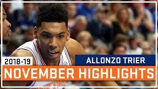 Allonzo Trier Full November 2018-19 Highlights - New York Knicks