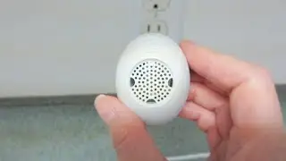 How To Get Rid Of Rodents with a Mini Ultrasonic Rodent Repellent: How it Works