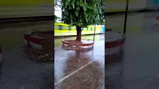 Shatabdi overtaking  12581 Muv Ndls SF at Panki station