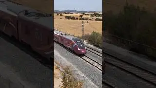 AVLO Renfe. TALGO AVRIL LAV Norte. Oct. 25. #train #railway #lav #ave #avril #avlo #renfe