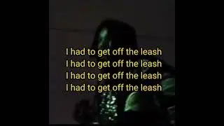 Icytwat - Off the leash (Lyrics)