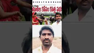 డైరీ ఫామ్ కొరకు రెండు లక్షల వరకు లోన్ #agriculture #farming